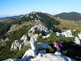 26. Vraćamo se drugim putem, kažu da je samo za iskusne planinare pa ćemo vidjeti da li spadamo među njih